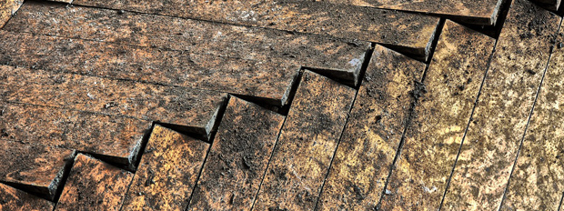 Why Should You Consider Wooden Floor Restoration